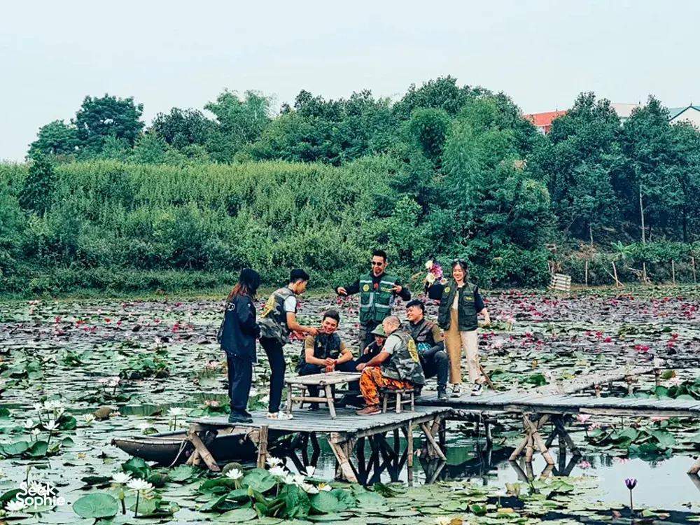 Seek Sophie option picture