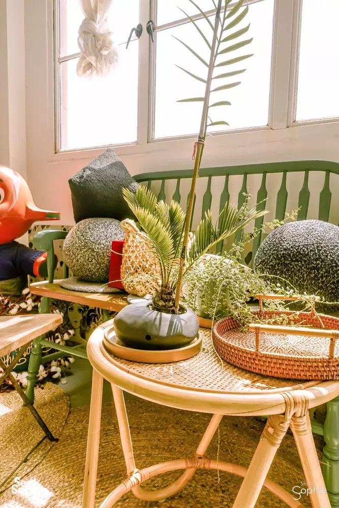 Seek Sophie option picture