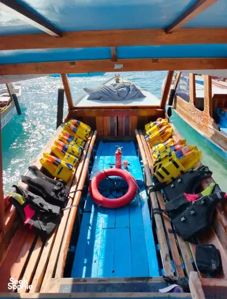 Private Gili Meno Snorkelling | Incredible Turtle Encounters 