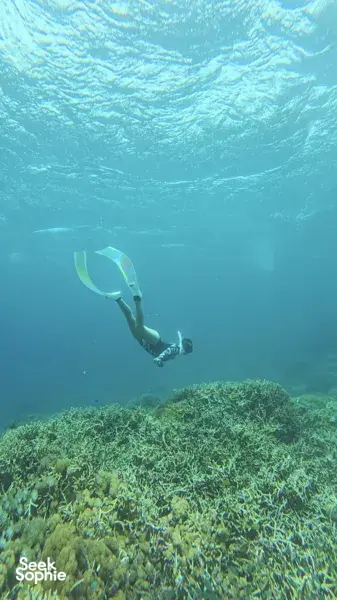 Gili Kondo Snorkelling Trip with BBQ Lunch