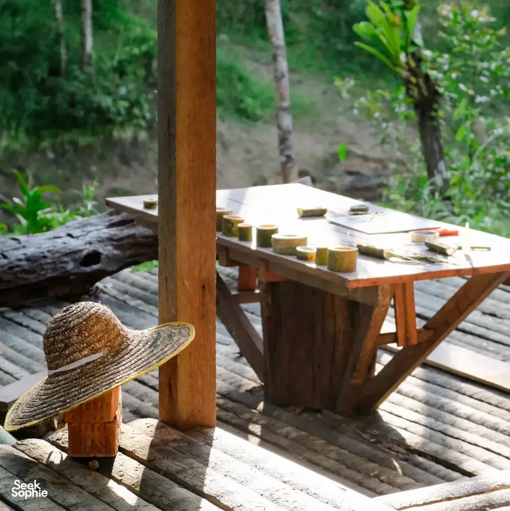 Seek Sophie option picture