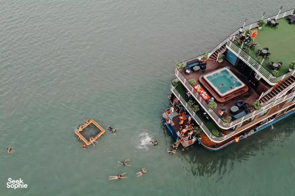 Seek Sophie option picture