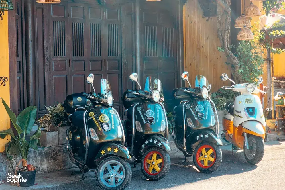 Seek Sophie option picture