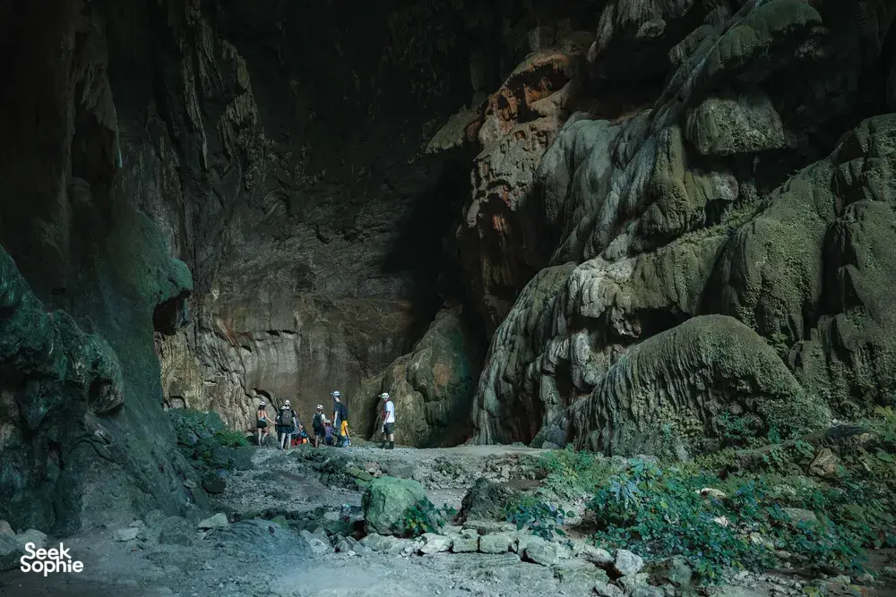 Seek Sophie option picture