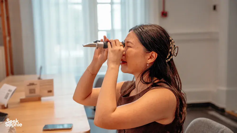 Seek Sophie option picture