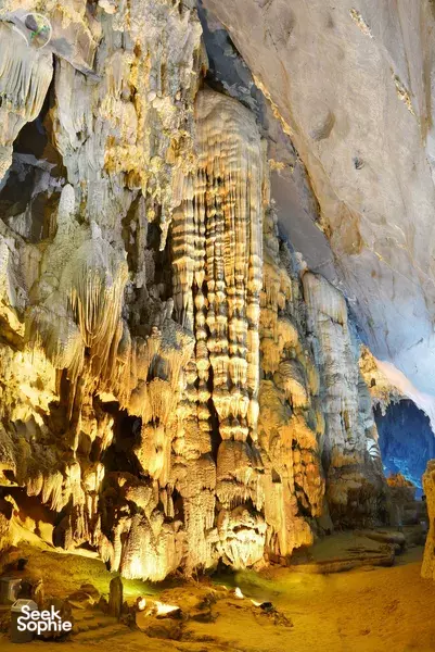 Phong Nha Easy Day Trip | Botanical Walk, Paradise Cave, Mud Bath & Zipline Fun