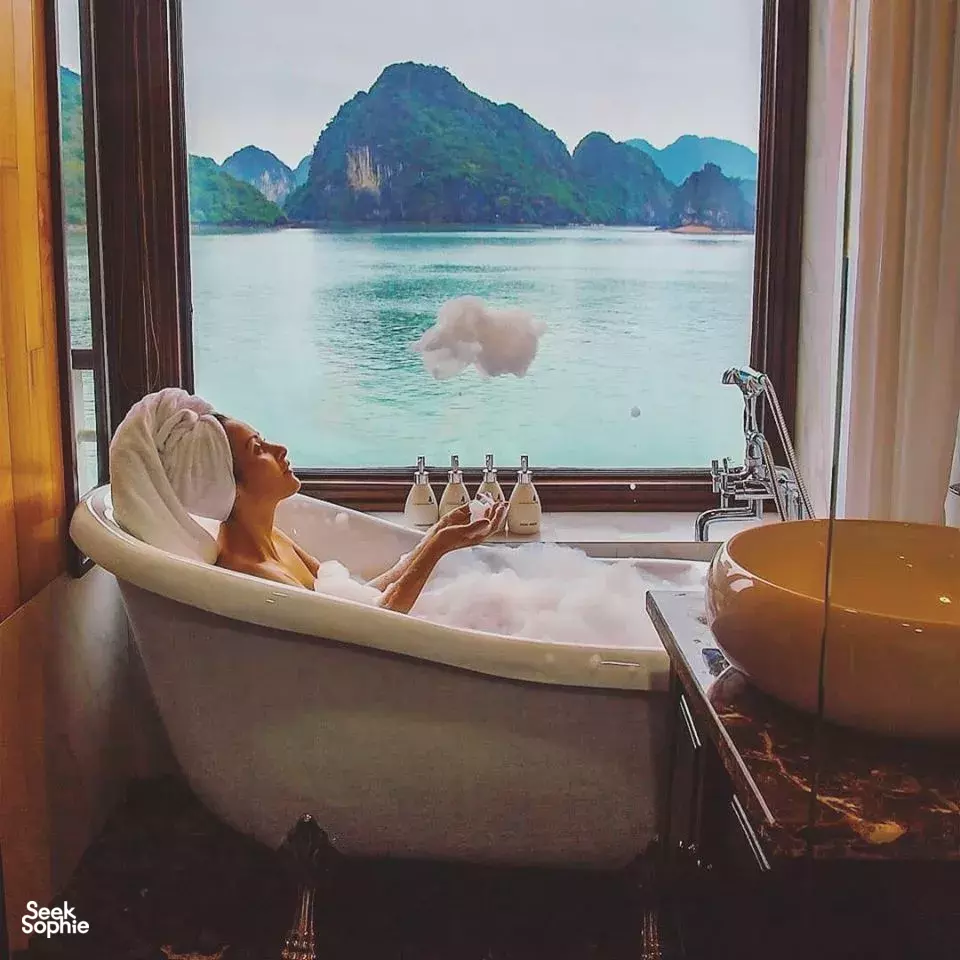 Seek Sophie option picture