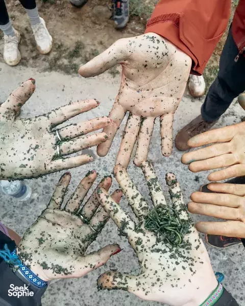 Hands covered in green speckled dye and herbs while crafting together at a creative workshop in Sapa