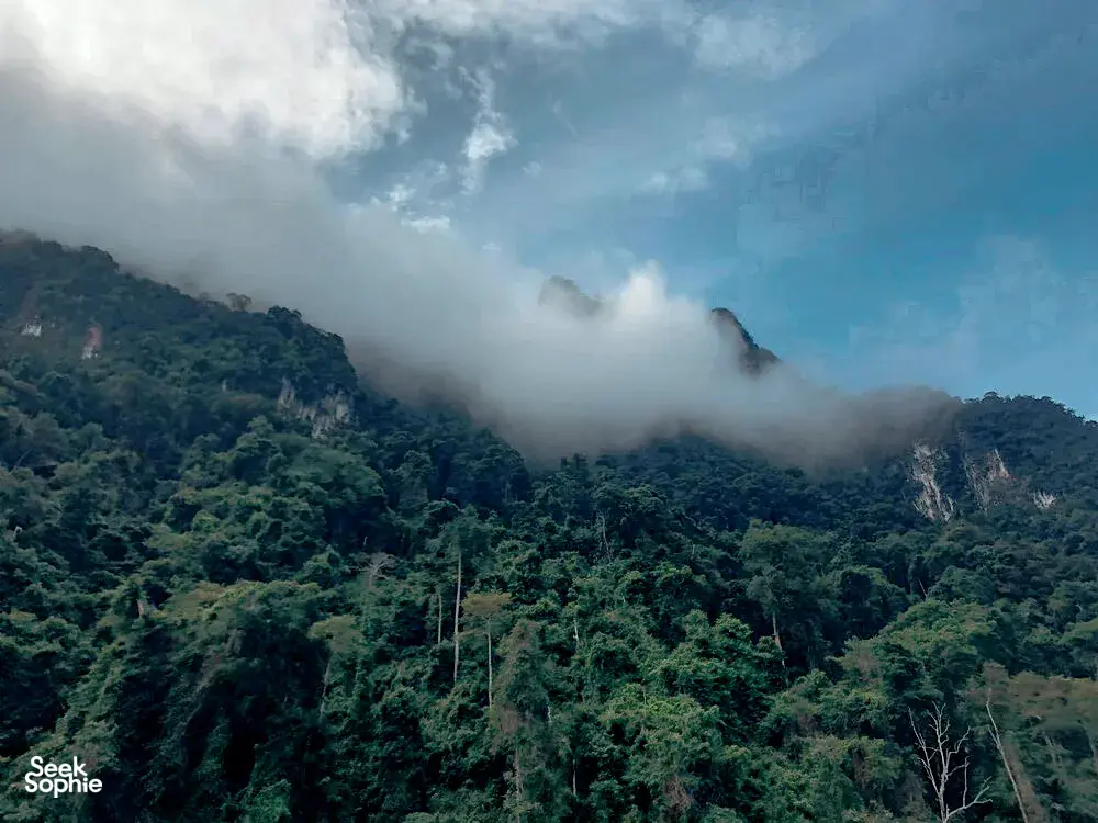 Seek Sophie option picture