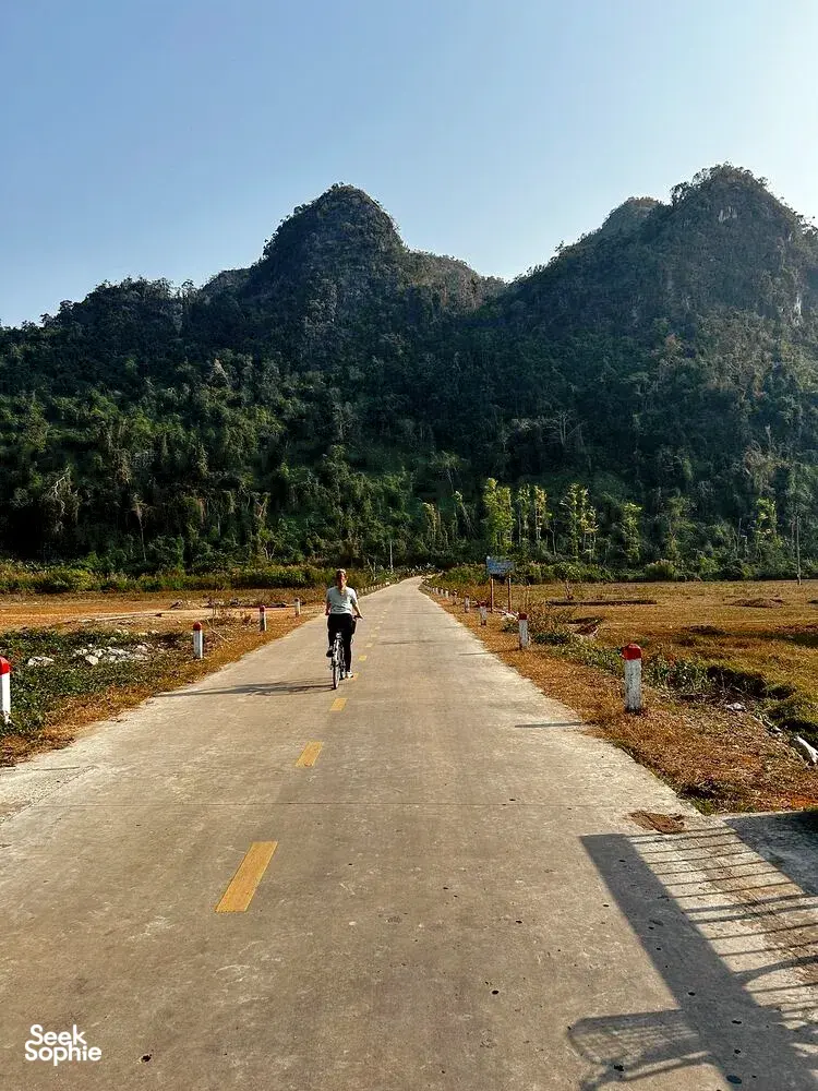 Seek Sophie option picture