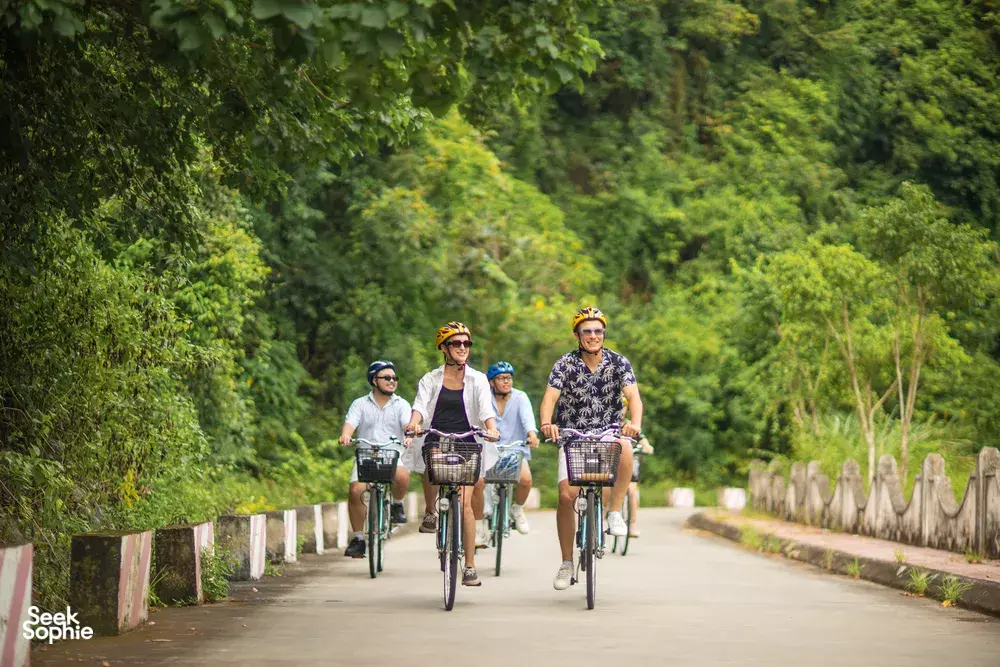 Seek Sophie option picture