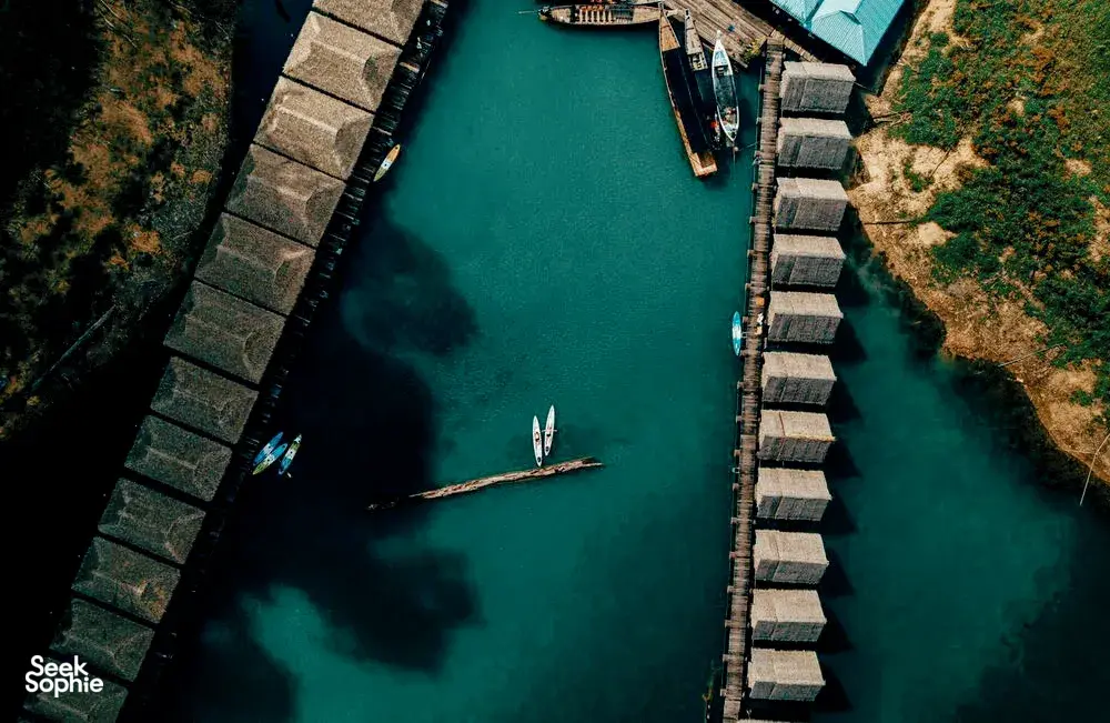 Seek Sophie option picture