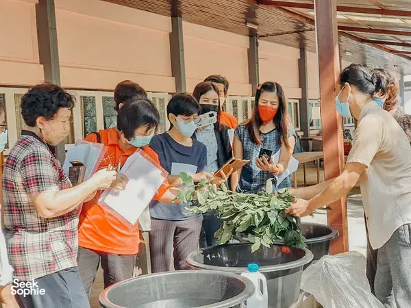 Guests placing leafy greens on patterned cloth over metal trays during eco-print art jamming with Dip-Dye By Noo in Chiang Mai