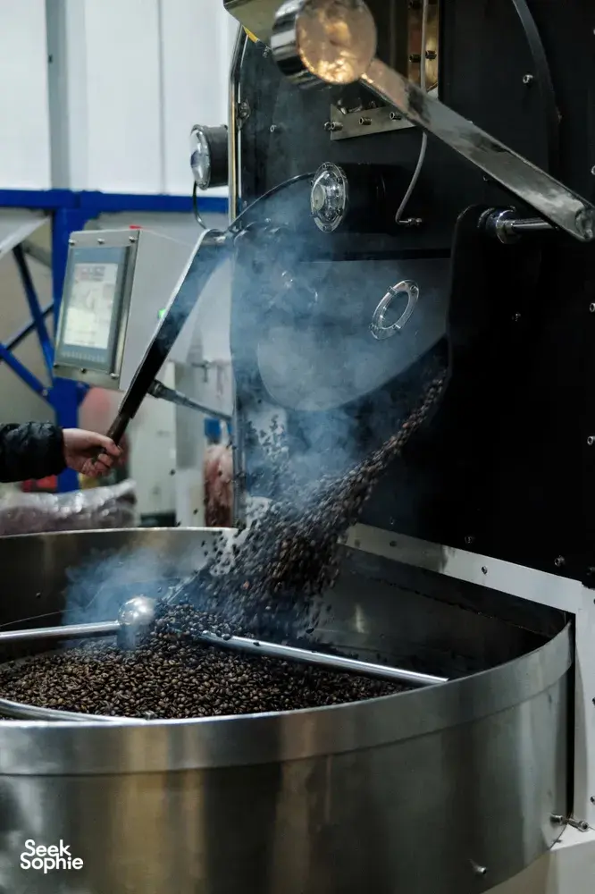 Coffee beans tumbling in a stainless roaster in Hoi An’s early-morning workshop, with steam rising from the machine