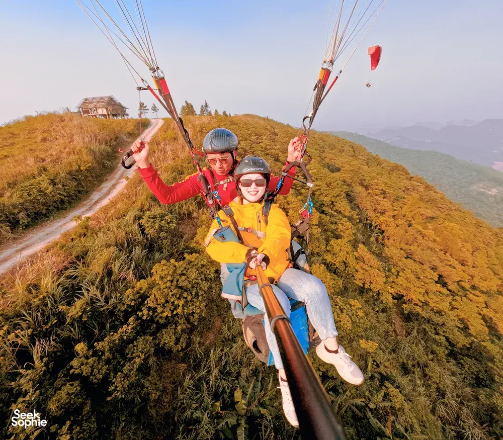 Seek Sophie option picture