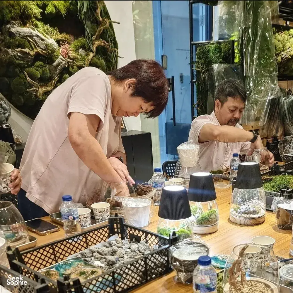 Seek Sophie option picture