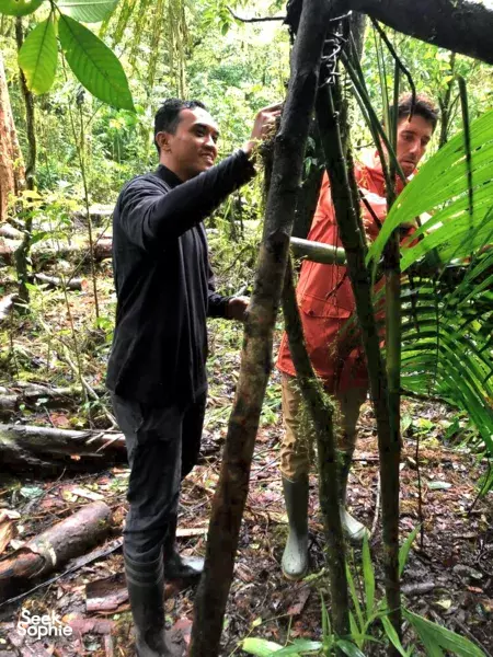 3 Days Jungle Bushcraft; Trekking, Camping and 101 Survival - Bali, Indonesia