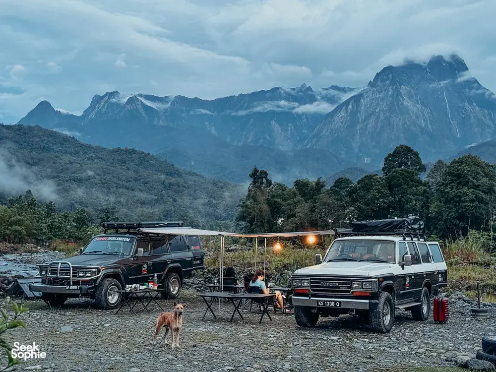 Seek Sophie option picture