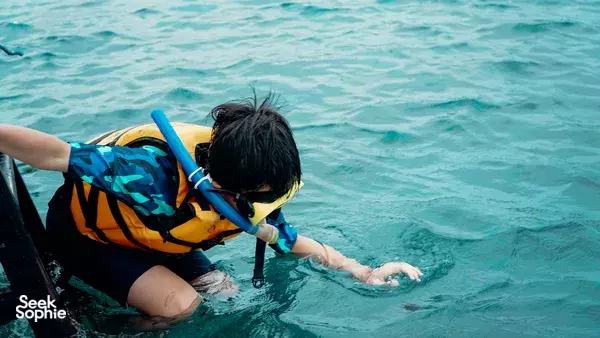 Snorkeling Persendirian di Gili Utara | Lihat Arca Bawah Laut & Lawat Pusat Penyu