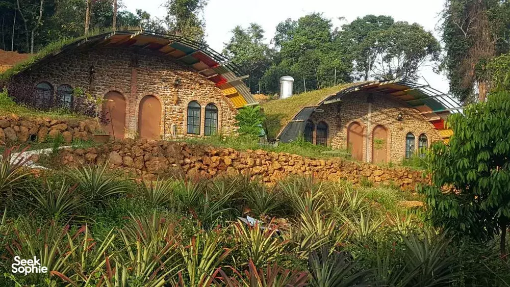 Seek Sophie option picture