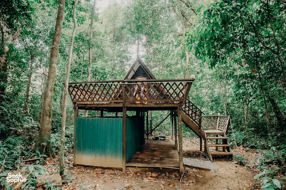 Seek Sophie option picture