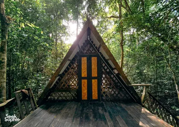 Triangular KOPEL Kinabatangan jungle lodge hut among trees for a 2D1N safari on the Kinabatangan River