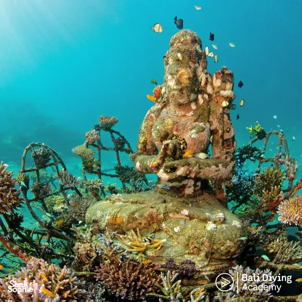 4 day reef conservation in Bali