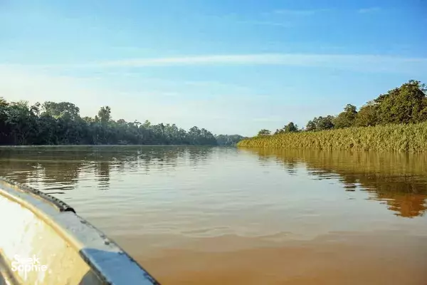 3D2N Kinabatangan River Safari