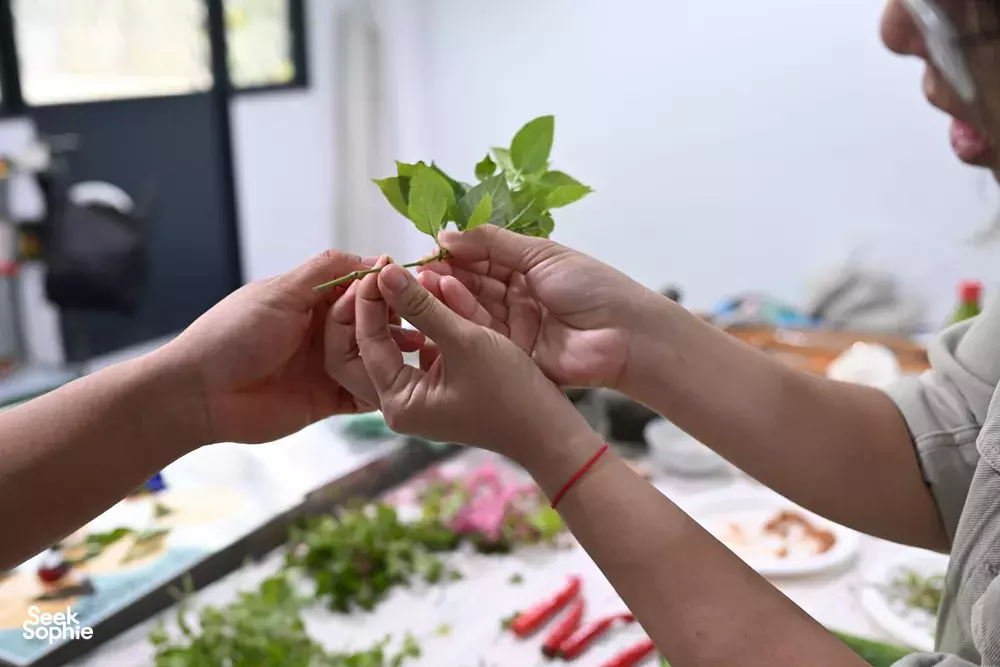 Seek Sophie option picture