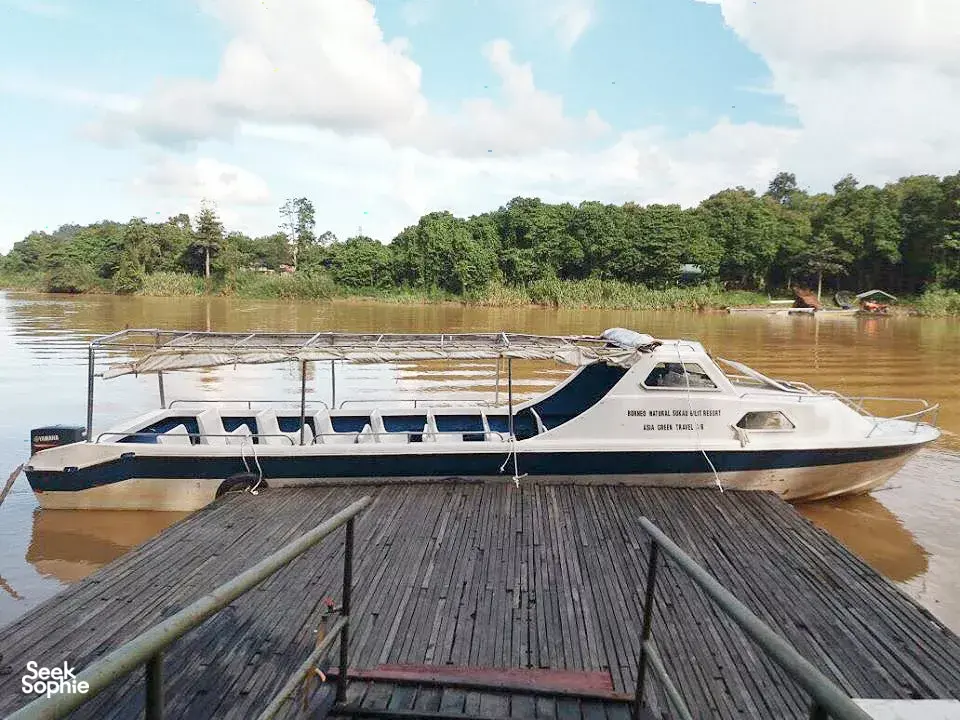 Seek Sophie option picture