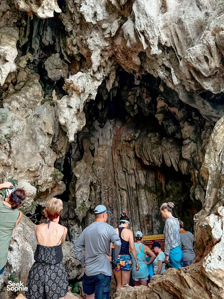 Seek Sophie option picture