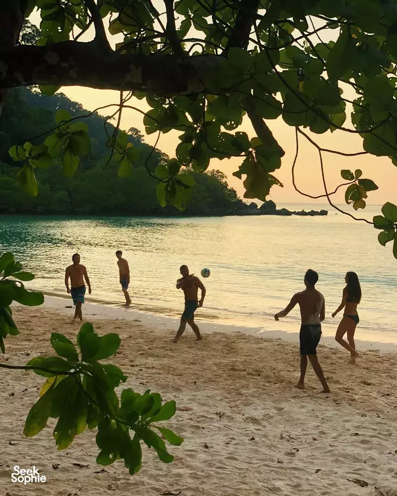 Seek Sophie option picture