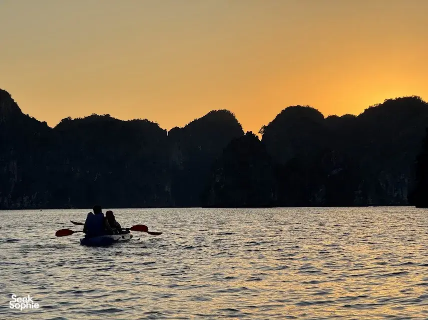 Seek Sophie option picture