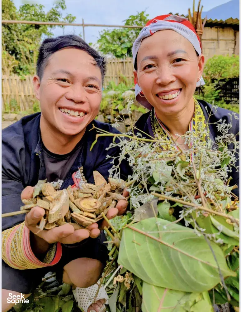 Seek Sophie option picture