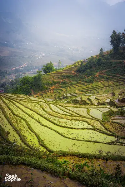 Hike Like a Hmong Through Sapa's Rice Paddies | Private Trek