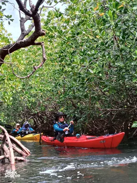 Kayakers in red and yellow kayaks paddle through a shaded mangrove channel off the coast of Labuan Bajo