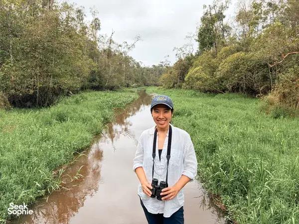 4D3N Private Orangutan Cruise | Comfy Boat + Better Wildlife Sightings