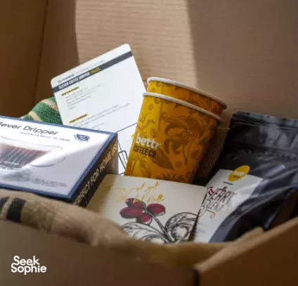 Seek Sophie option picture