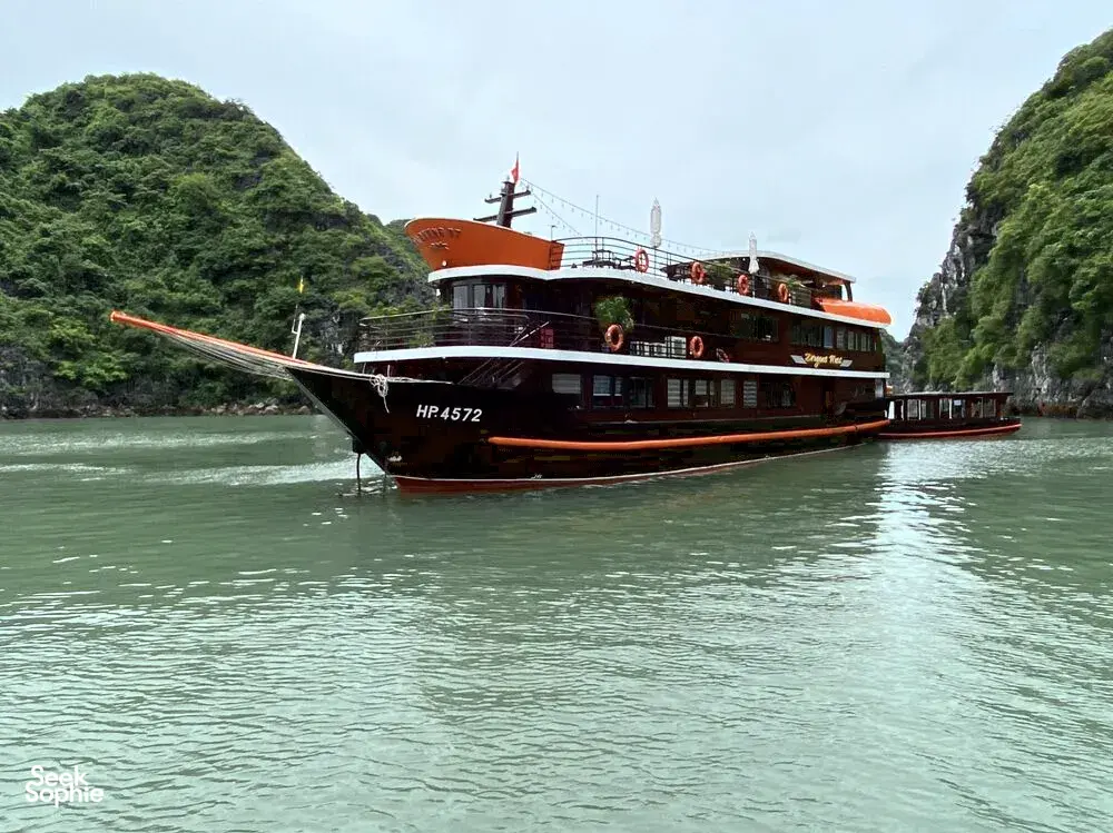 Seek Sophie option picture