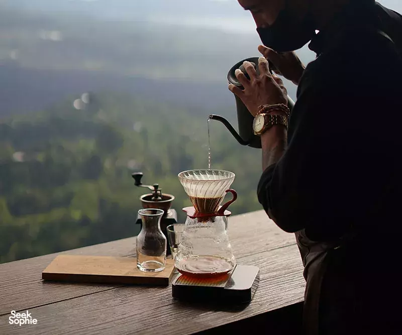 Seek Sophie option picture