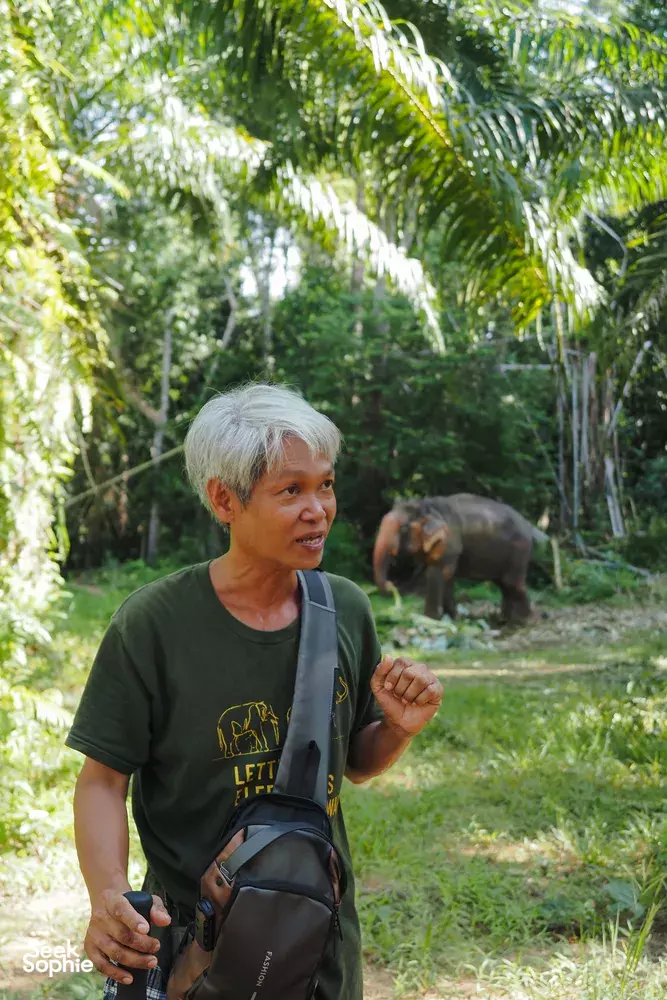 Seek Sophie option picture