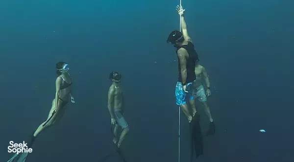 2日自由潜水课程|适合新手的顶级教练带你入门