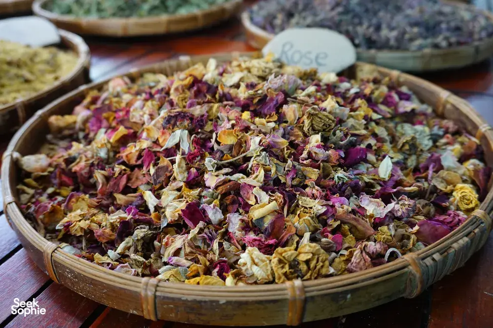 Seek Sophie option picture