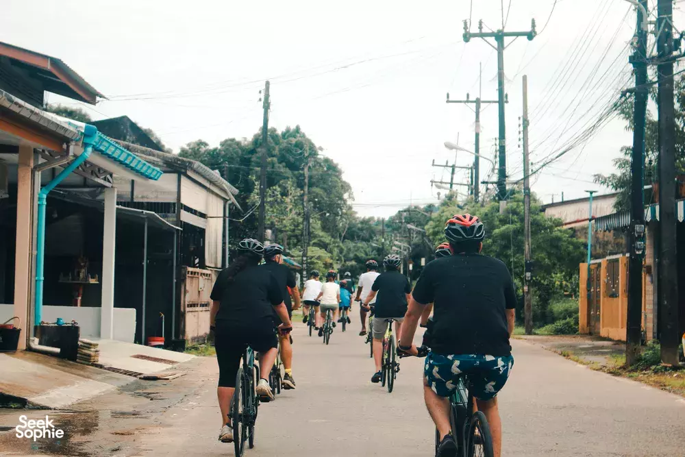 Seek Sophie option picture