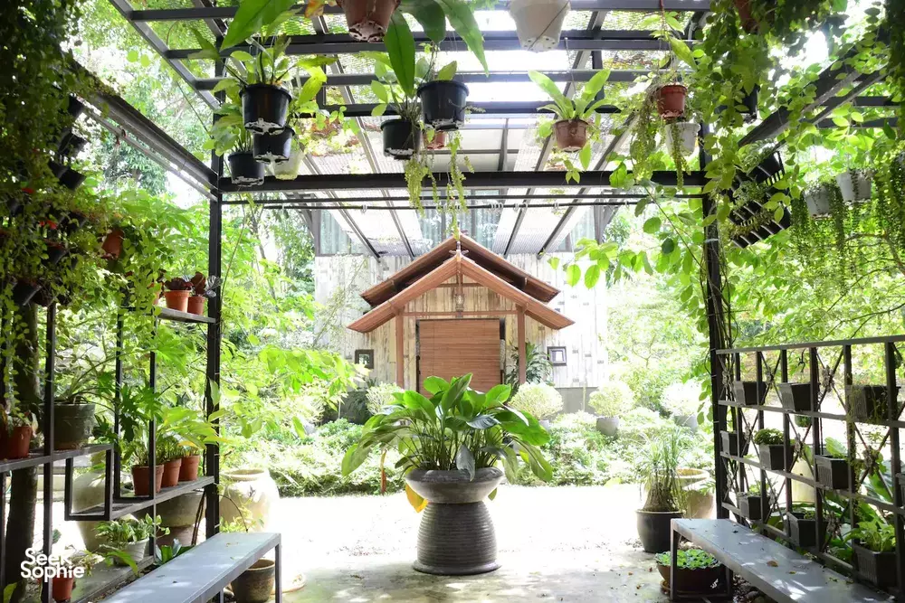 Seek Sophie option picture