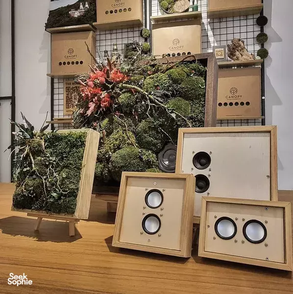 Craft a Moss Bluetooth Speaker | Tech + Nature