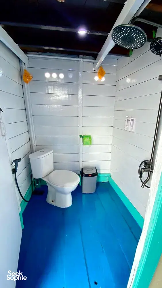 Seek Sophie option picture