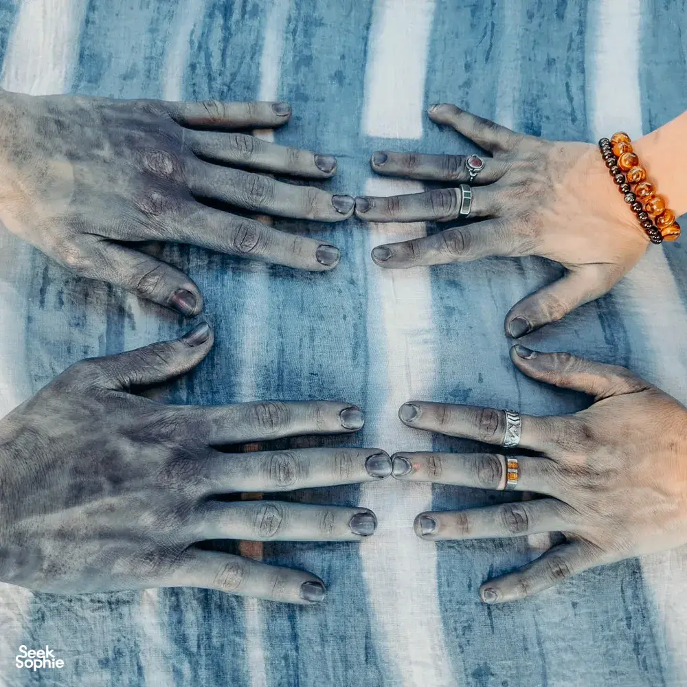 Seek Sophie option picture