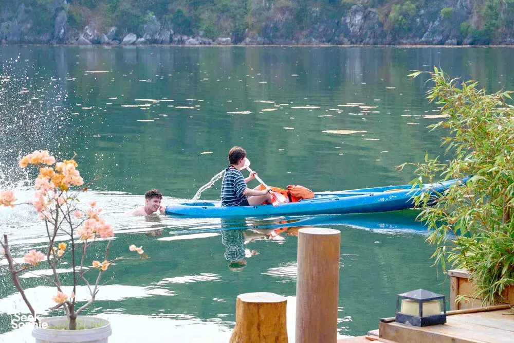 Seek Sophie option picture