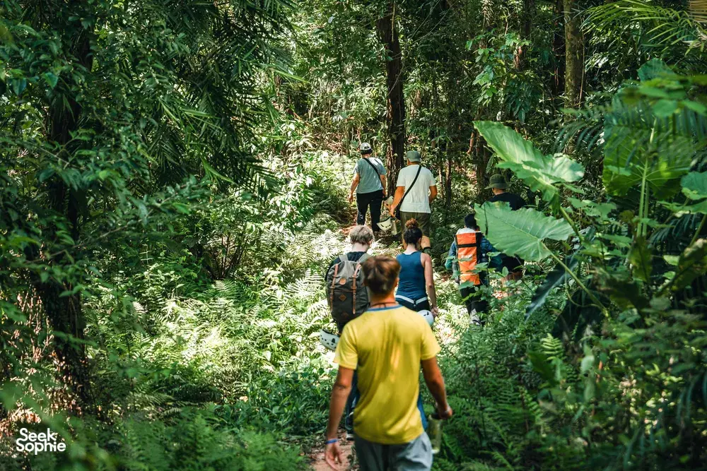 Seek Sophie option picture